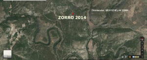 Localización del Zorro- Edición 21